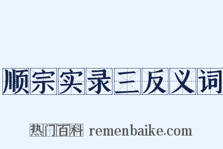 顺宗实录三反义词是什么意思的图片